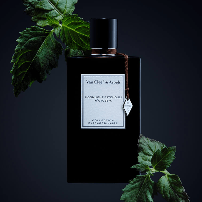 عطر-مونلايت-باتشولي-من-فان-كليف-اند-اربلز-او-دي-بارفيوم